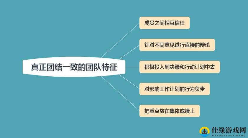 一前一后三个人轮换的复杂模式及其对团队协作的影响