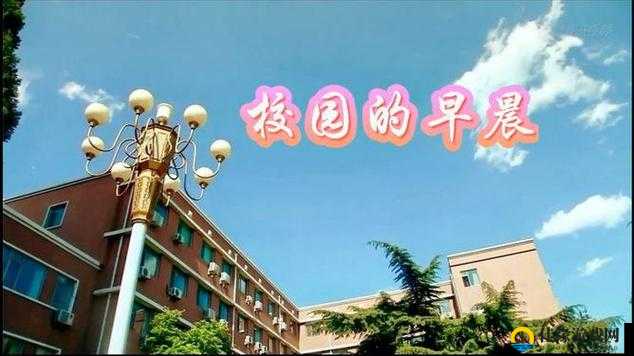 朝阳初升校园 1-1 小时：开启活力新一天